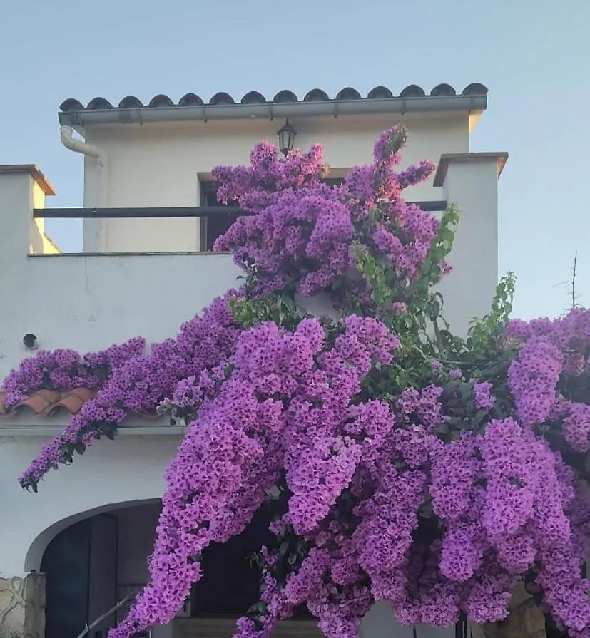 بيت للعطل فيلا Mar I Sol L' Escala